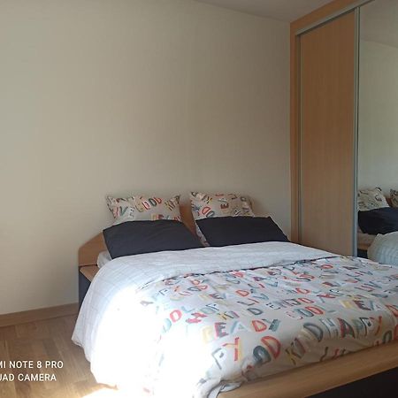 Super Appartement Avec Terasse Bischheim ภายนอก รูปภาพ