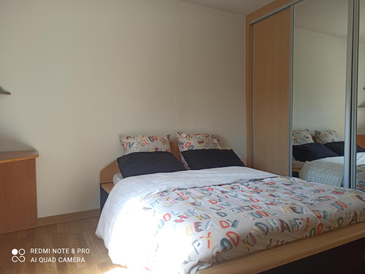 Super Appartement Avec Terasse Bischheim ภายนอก รูปภาพ