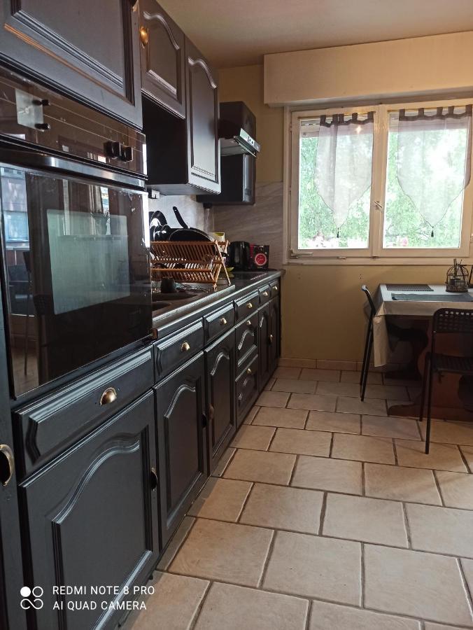 Super Appartement Avec Terasse Bischheim ภายนอก รูปภาพ