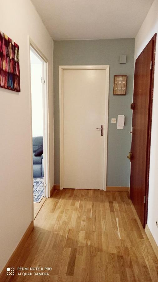 Super Appartement Avec Terasse Bischheim ภายนอก รูปภาพ
